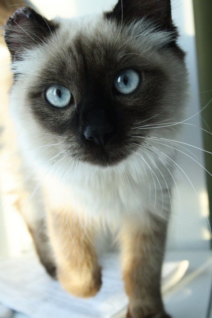 Валерия Гизятова | Уфа