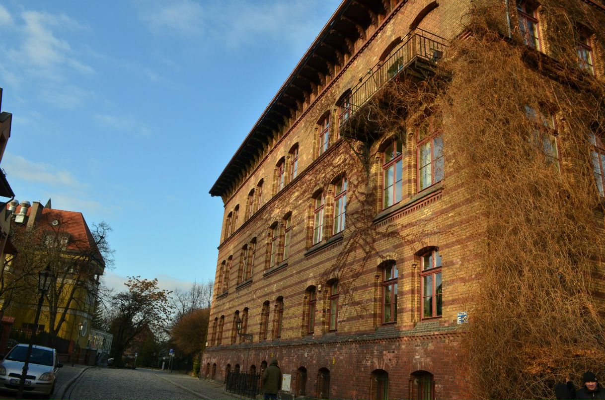 Тарас Шпек | Львов