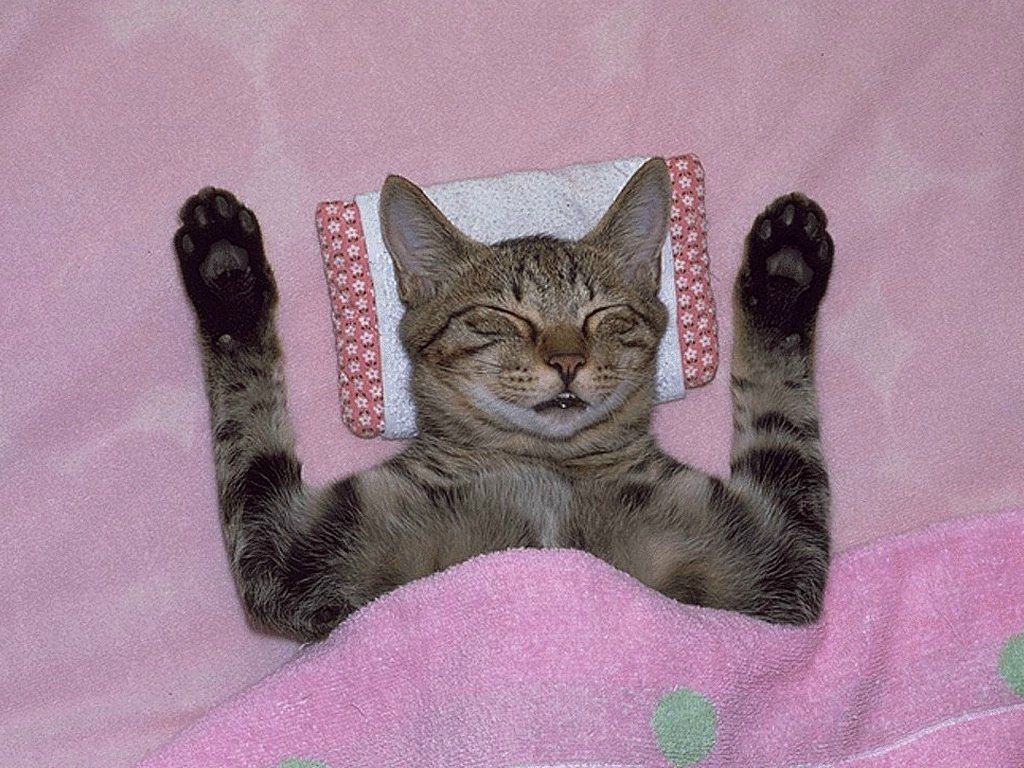 Агата Кристи <personale ammiratóre&gt | Turku