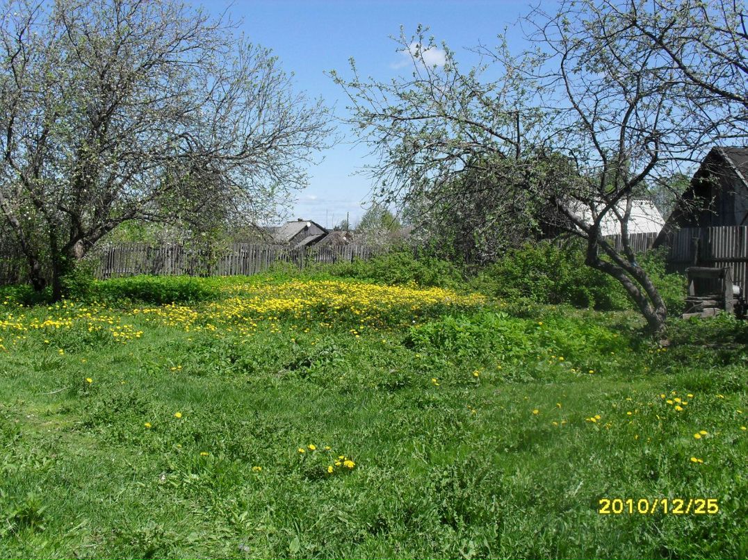 Виктор Шорин | Инта