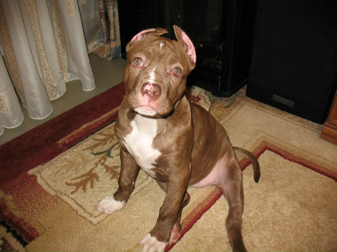 Лариса Неверова & | Санкт-Петербург