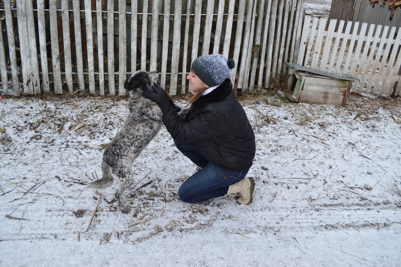 Ольчик Гейдор | Киев