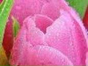 Полина Ситник | Днепр (Днепропетровск)