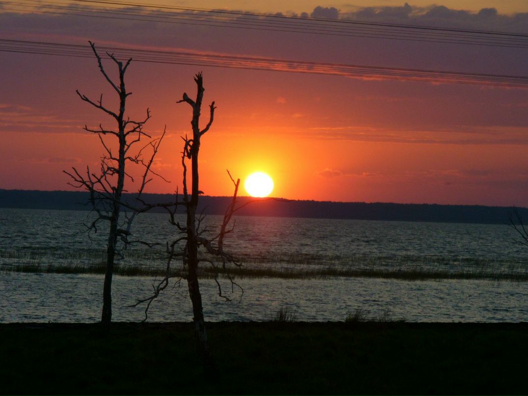 Ирина Рыжая | Курган