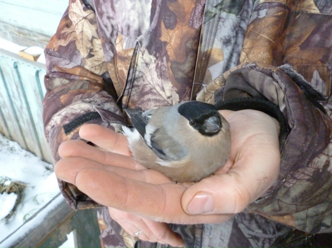 Роман Журавлёв | Кимры