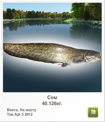 Иван Белозоров | Москва