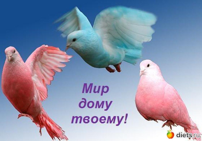 Алиса Игнатюк | Львов