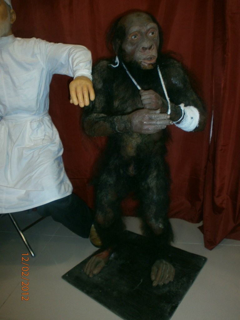 Туся Царакова | Новый Уренгой