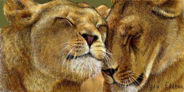 №1, Dr Khan №1, Dr Khan