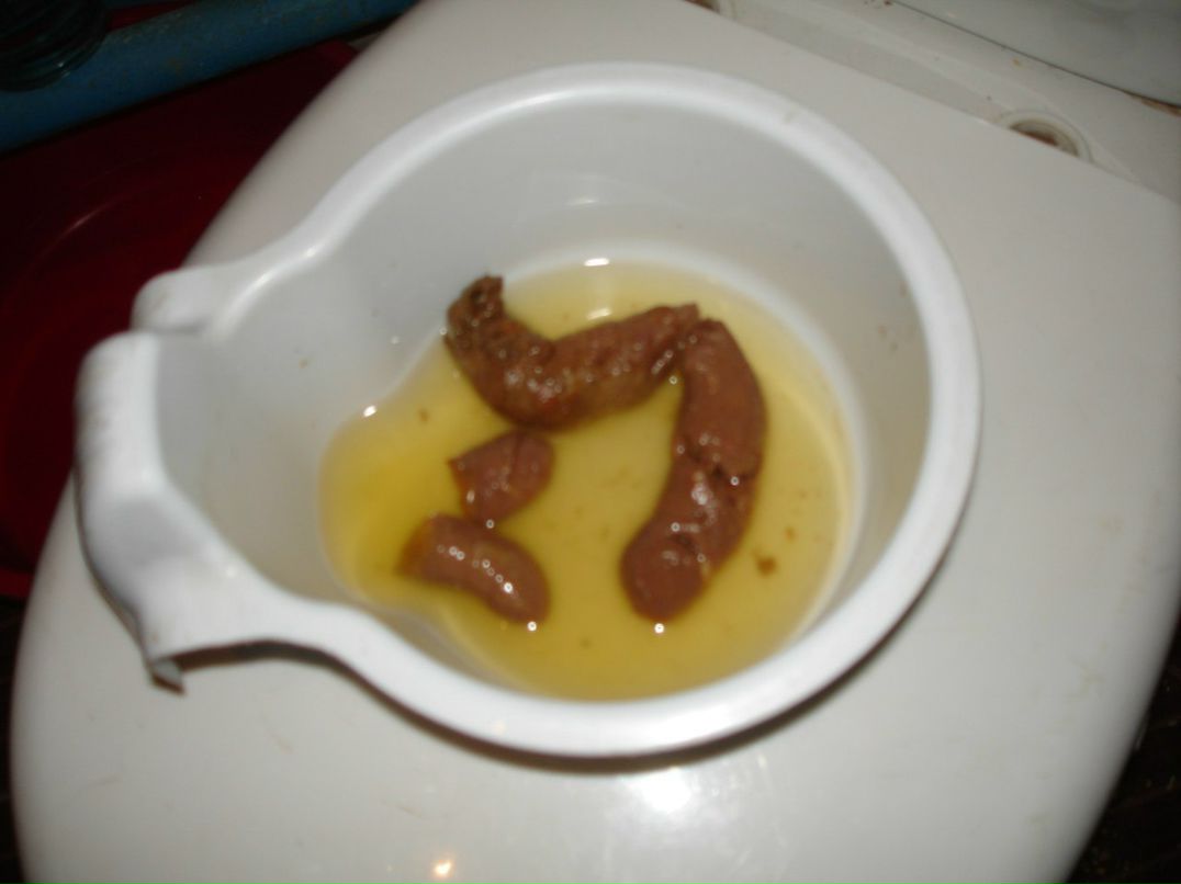 Алексей Гришечкин Focahontas | Мариуполь