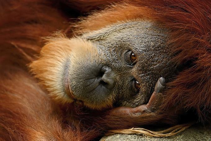 Виталий Петров | Атырау