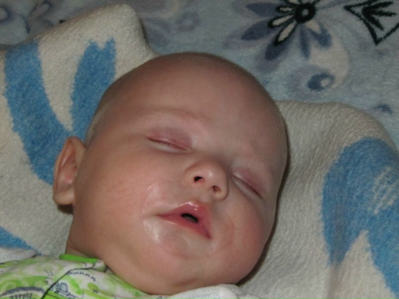 Дмитрий Александров | Тосно