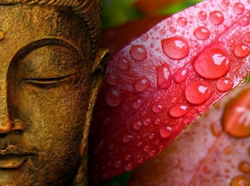 Анна Маркова |Evan Bit| | Мурманск