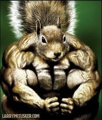 Дмитрий Бородин | Балашиха