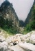 Яна Секинати фотография #11 (источник - https://vk.com/id108238847)