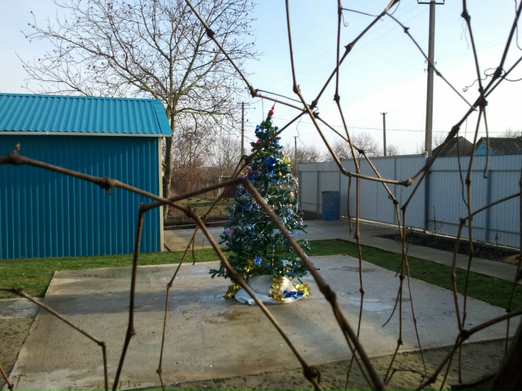 Юрий Юрьев | Воркута