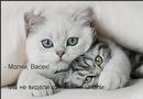 №9 Оля Скворцова