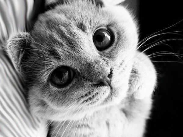 Александра Мажара | Новосибирск