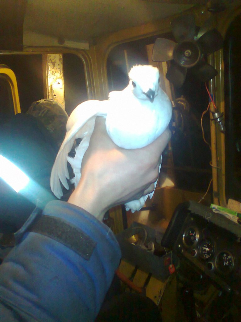 Серёга Мокляк | 