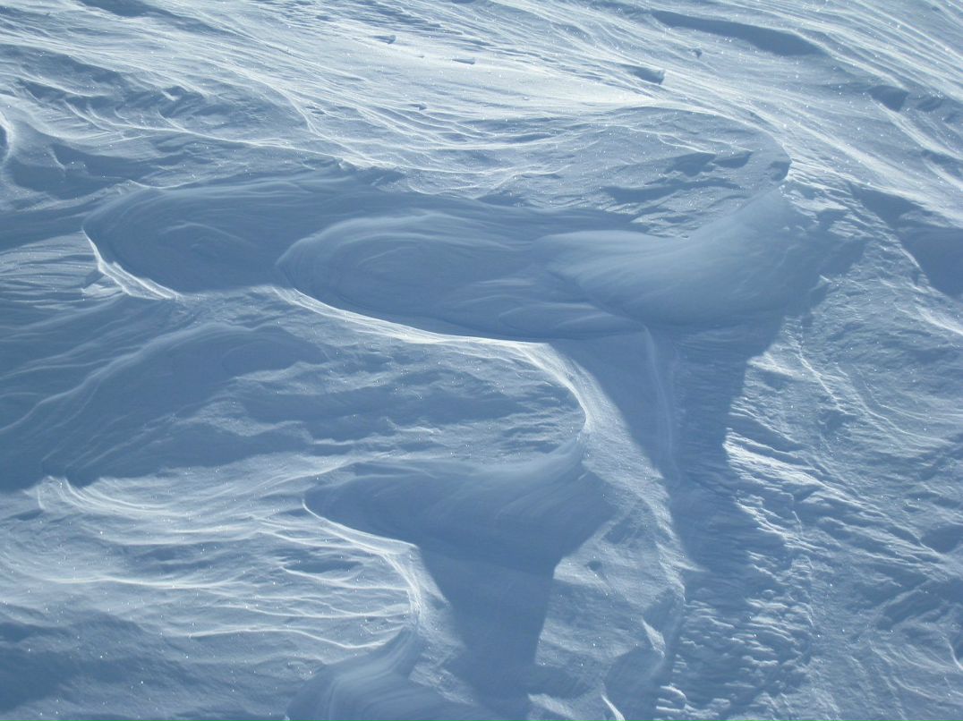 Лида Милка | 