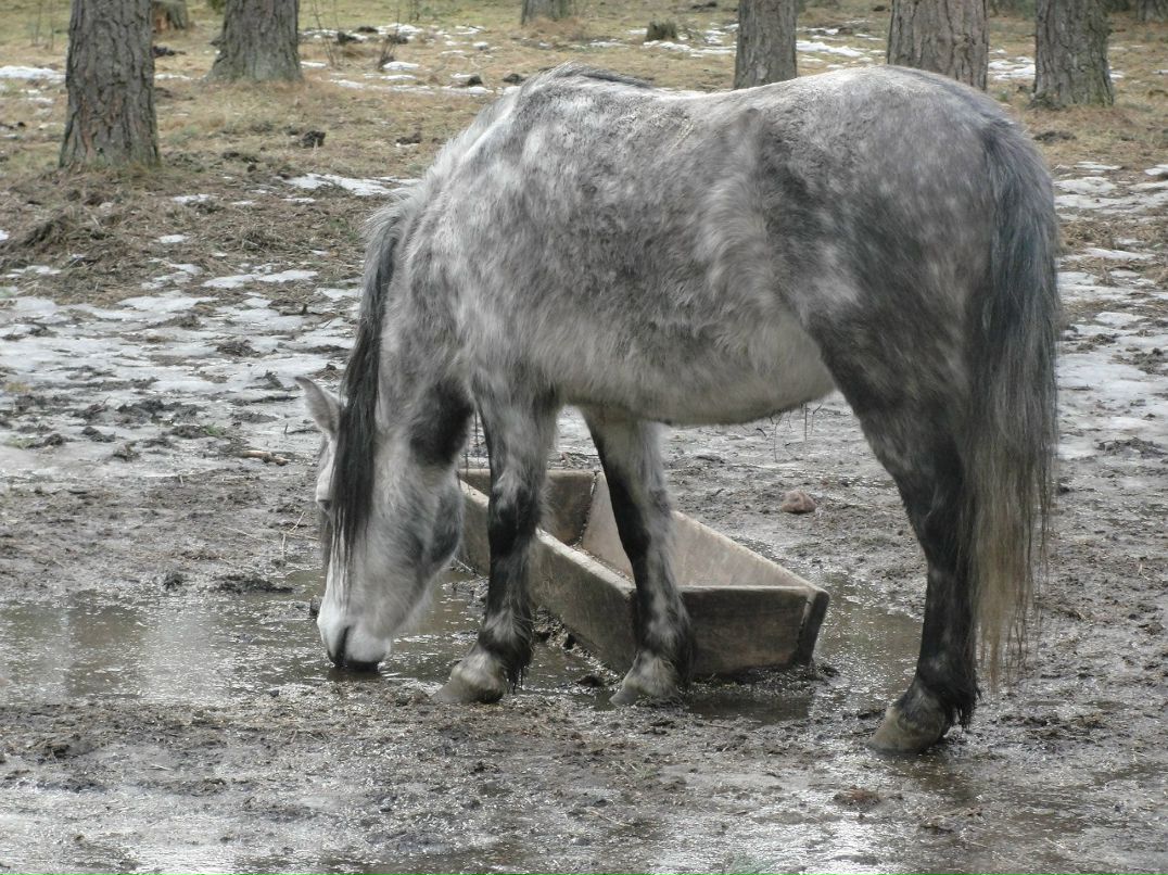 Илья Панасюк | Брест