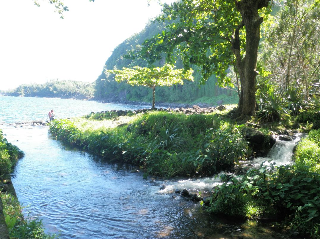 Галина Кобзар | La Réunion