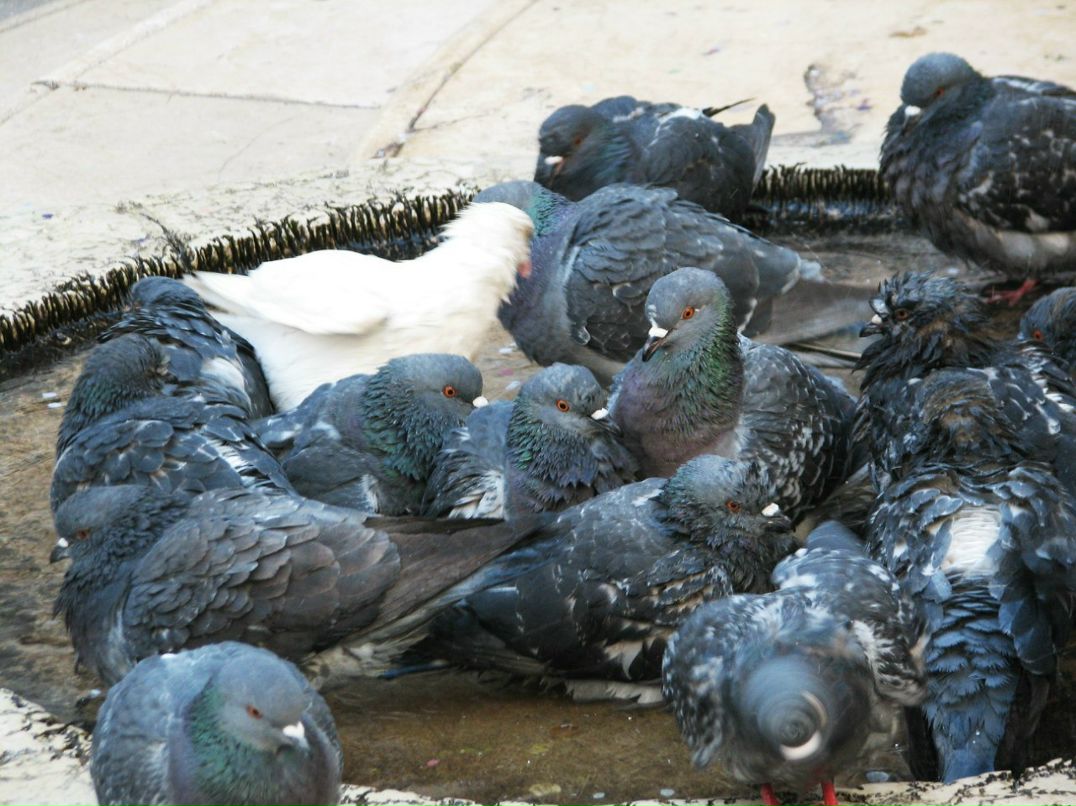 Соня Чуровская | Санкт-Петербург