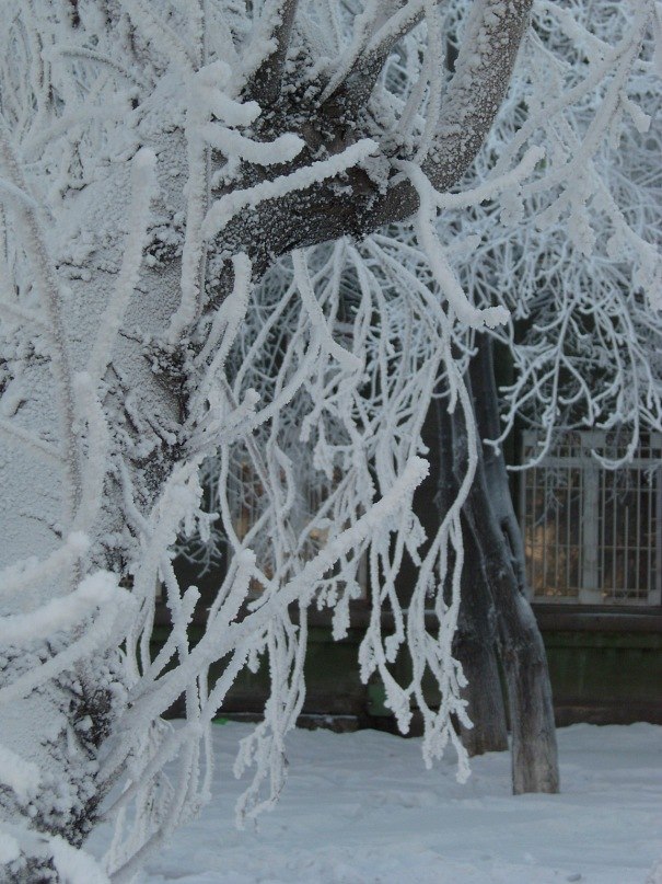 Мария Ахметянова | Челябинск