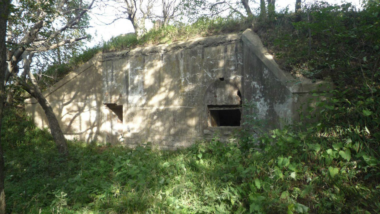 Денис Михелис | Омск