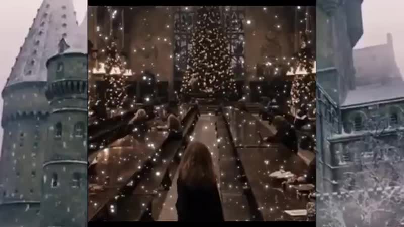Harry Potter vine