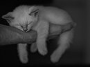 Фотография Воды Марины