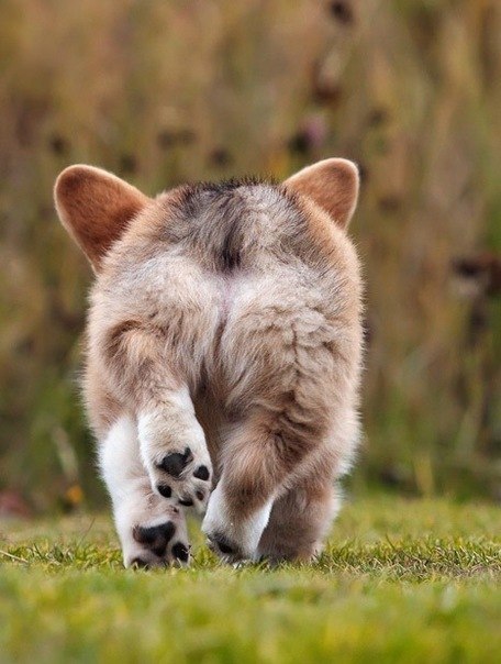 Дима Дановский NightWolfy | Казань