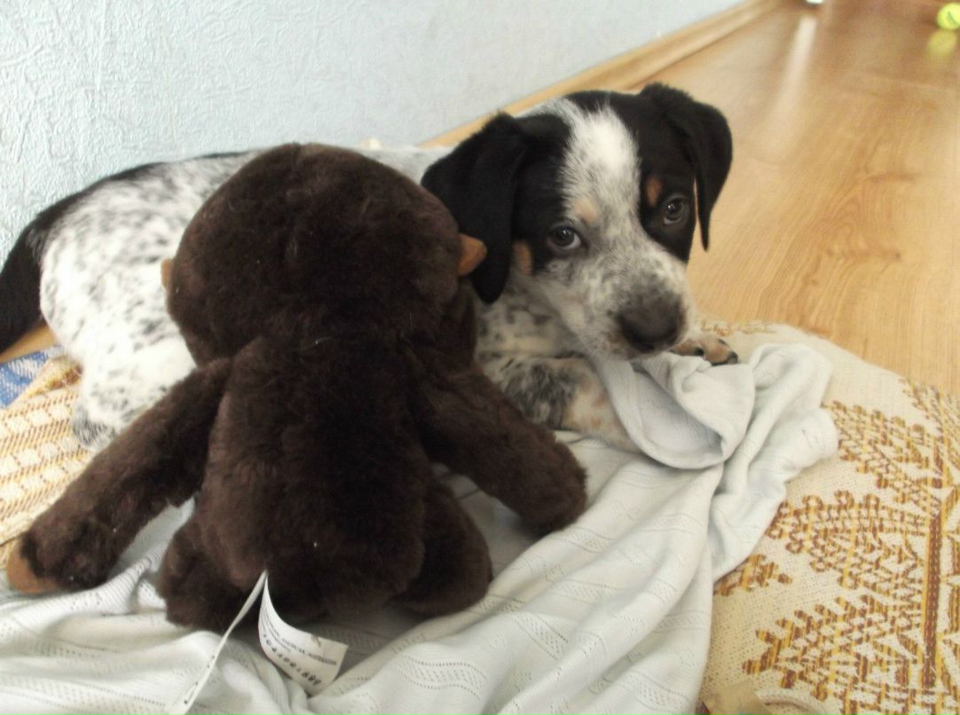 Кристина Шкиль | 