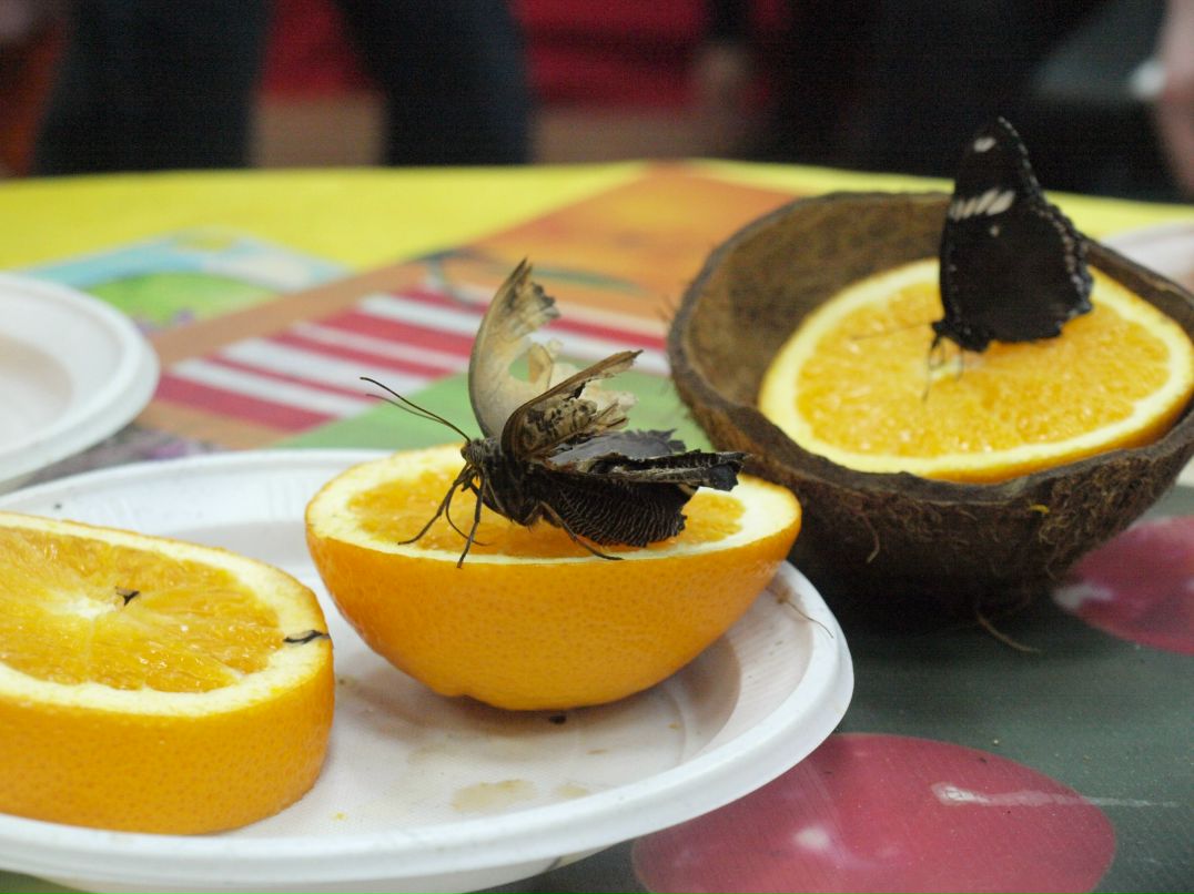 Виктория Халяева что непонятно | Мурманск