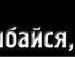 Ванич Вареник | Сумы