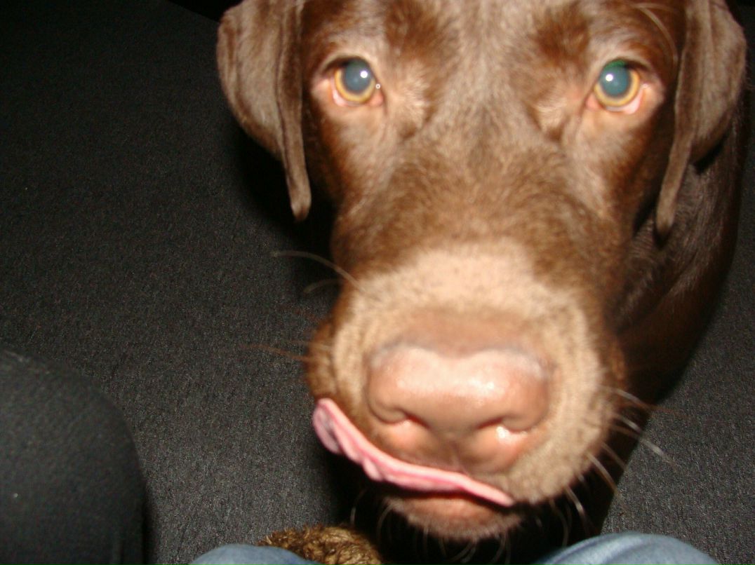 Катерина Шамбур | Москва