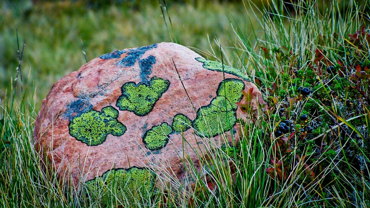 Ковал Сергеевич | Мурманск