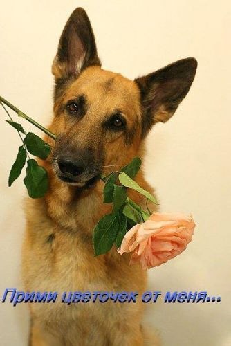 Андрей Скрипниченко | Нижнегорский