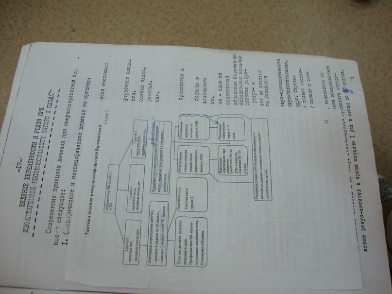 Инга Колесникова | Новосибирск
