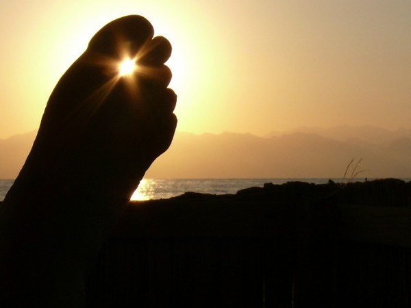 Людмила Куленевич Lutik | Ирпень