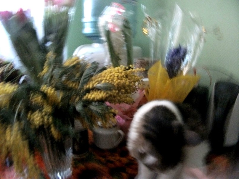 Тимофей Архангельский КРАСАВЧИК | Одинцово (деревня)