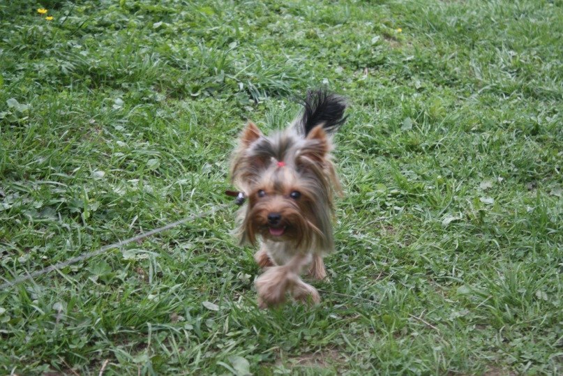 Sofia Polonskaya | Los Angeles