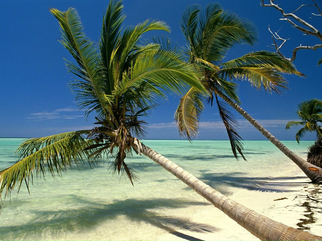 Станислав Черногор | Санкт-Петербург