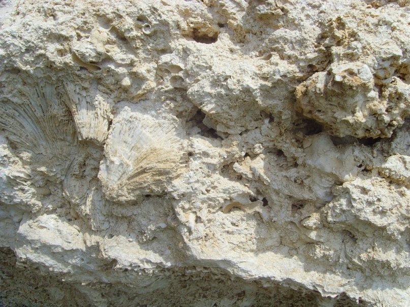 Екатерина Журавлева | Тверь