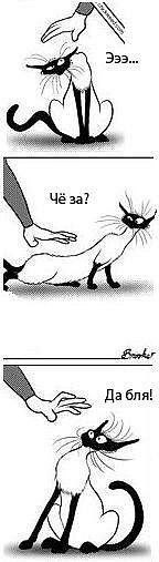 Маргарита Покровская | Саратов