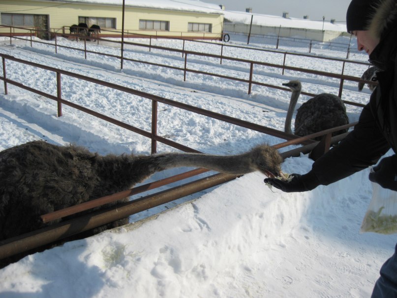 Светлана Бантикова | Москва