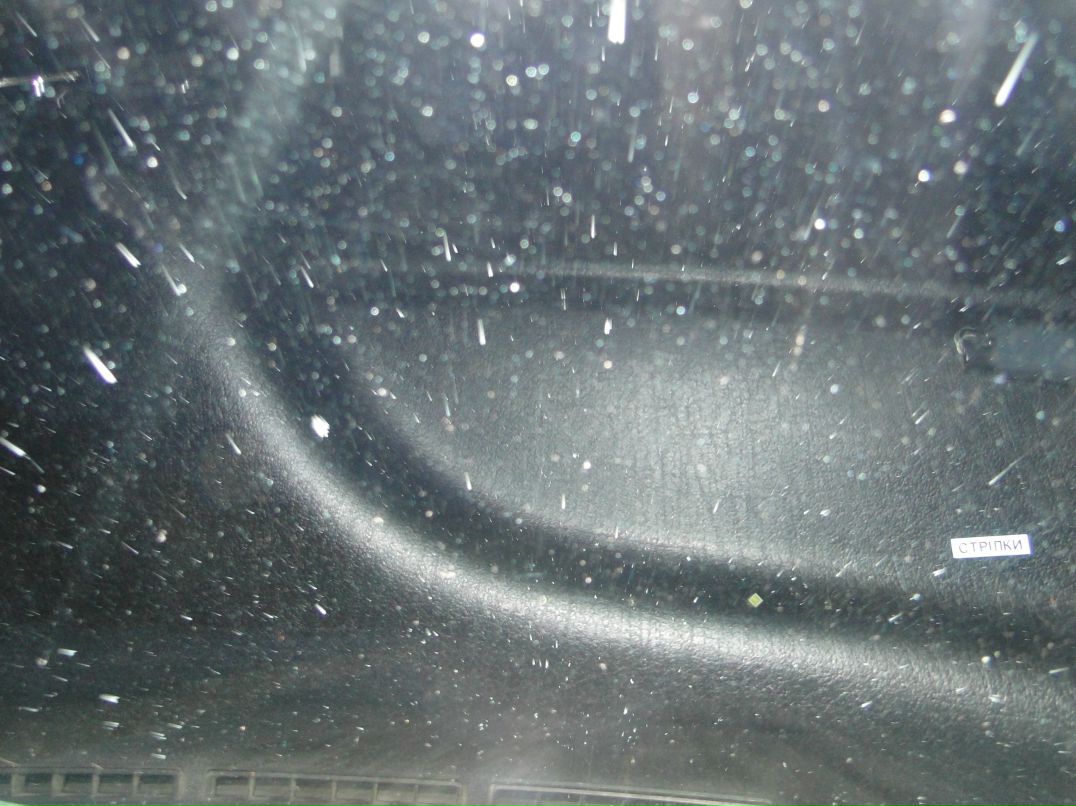 Ігор Коліба | Львов