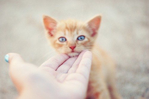 Ксения Жильцова | Новосибирск