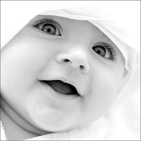 Андрій Кріль | Львов