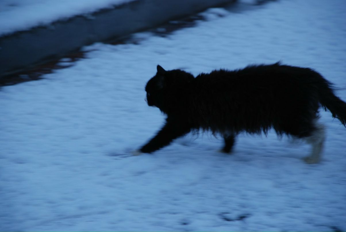 Ксения Акимова | Москва